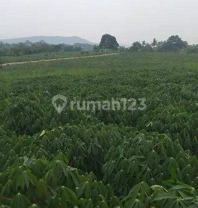 Dijual Kavling Luas Siap Bangun di Kavling Parung Hijau Bogor 2