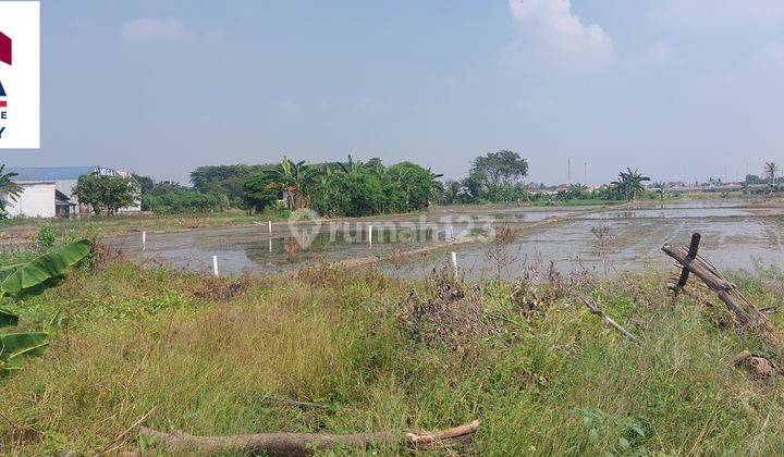 Tanah Kavling 2 Hektar Pinggir Pintu Tol Gabus 2