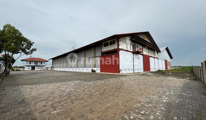 Dijual Cepat Ex Pabrik di Pinggir Jalan Raya Pantura - Subang, Harga Termurah - Masih bisa Nego