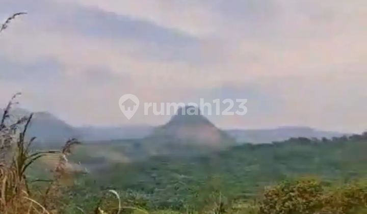 Lahan Luas 23000 Jual Murah di Jonggol Bogor