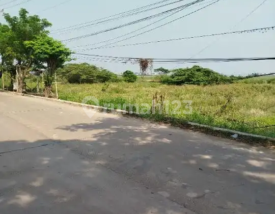 Tanah Cocok untuk Bangun Perumahan di Babelan Bekasi Tanah Cocok untuk Bangun Perumahan di Babelan Bekasi