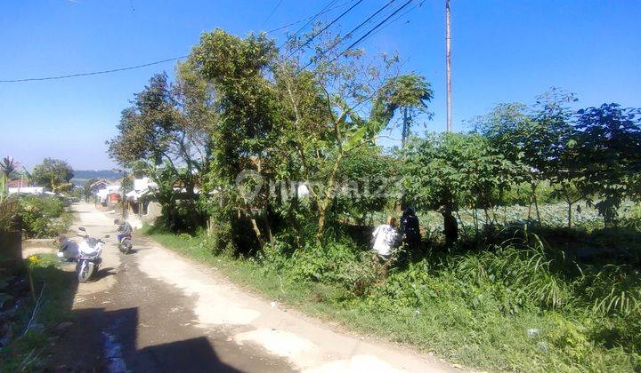 Dijual Murah Dibawah Harga Pasaran Tanah Di Lembang Jayagiri Bandung Barat Cocok Untuk Villa Rumah Tinggal dan Pertanian 2