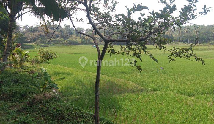 Dijual Murah Tanah Luas 19,2 Hektar Dibawah Harga Pasaran Tanah Di Cibinong Hilir Kecamatan Cilaku Kabupaten Cianjur 2