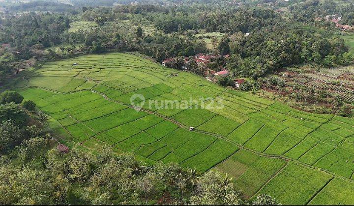 Dijual Murah Tanah Luas 19,2 Hektar Dibawah Harga Pasaran Tanah Di Cibinong Hilir Kecamatan Cilaku Kabupaten Cianjur 2