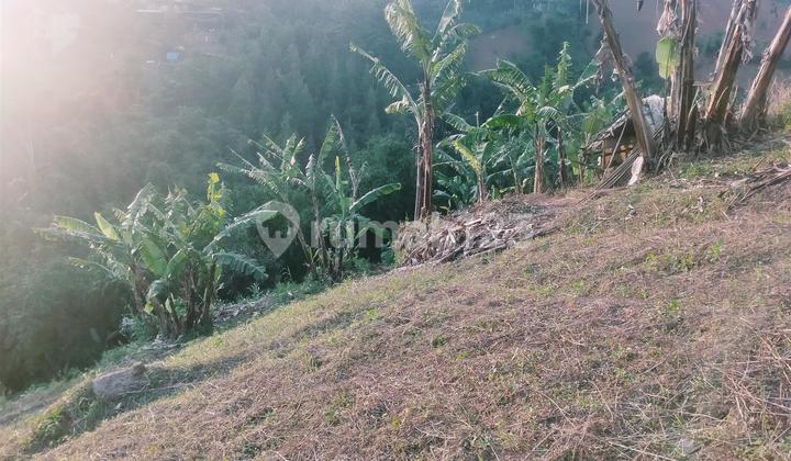 Dijual Tanah Super Murah View Kota Bandung cocok untuk Cafe & Villa di Caringin Tilu Padasuka Bandung