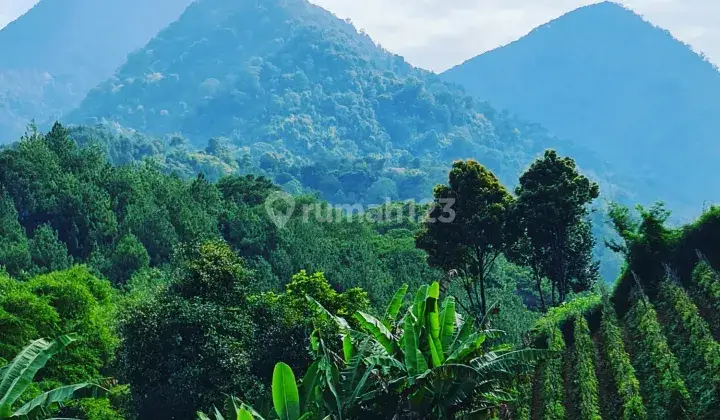 Tanah Strategis Buat Bisnis Resto Wisata Villa 5