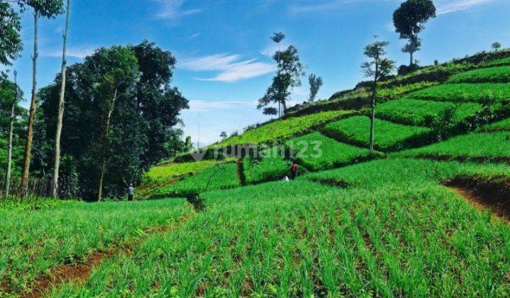 Tanah Strategis Bisnis Wisata Villa Paling Murah Pangalengan 5