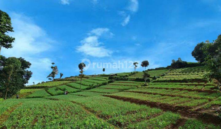 Tanah View Super Indah Tiada Duanya
