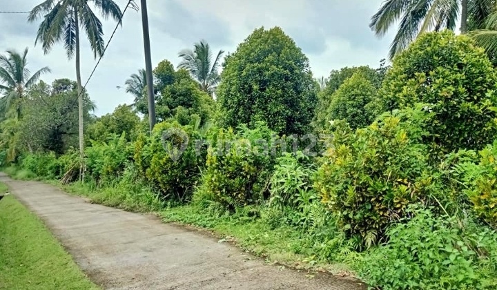Tanah Kavling Jembrana Bali Termurah View Laut