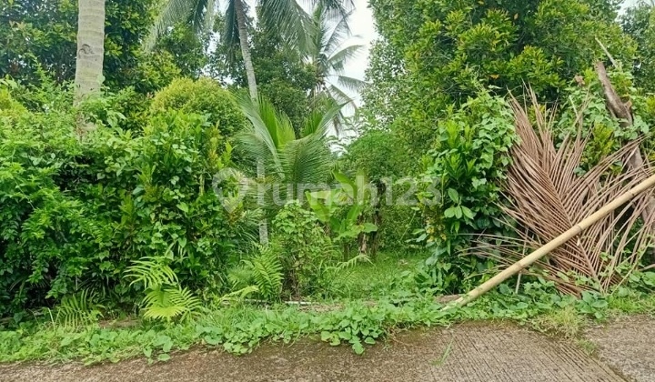 Tanah Kavling Jembrana Bali Termurah View Laut
