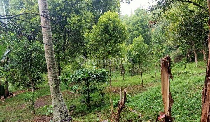 Tanah Kavling Jembrana Bali Termurah View Laut