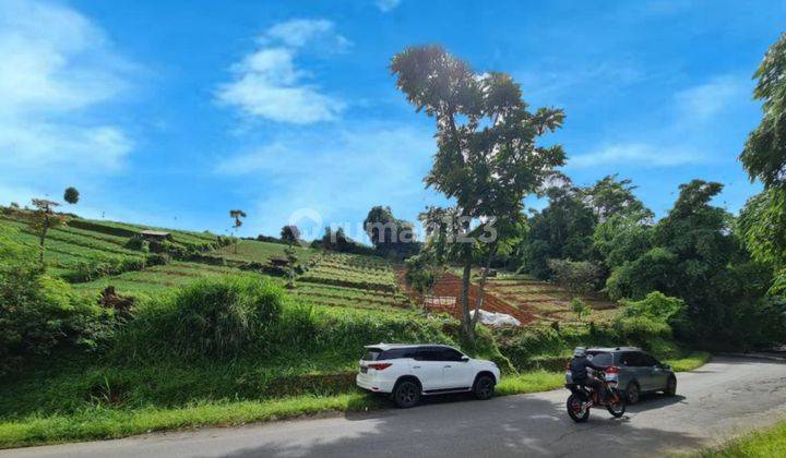 Tanah Strategis Harga Di Bawah Harga Pasar 4