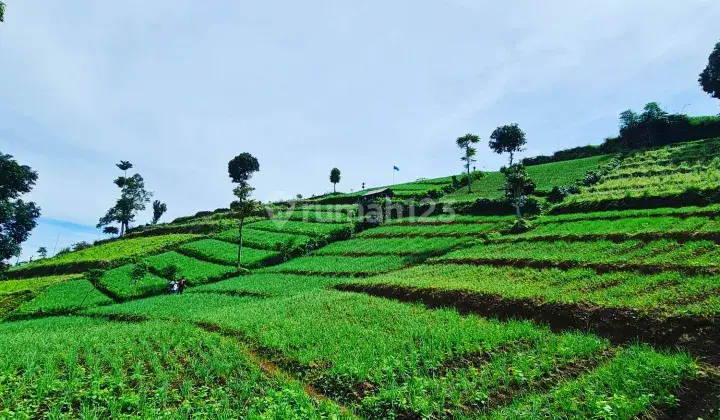 Tanah Strategis Harga Di Bawah Harga Pasar 6