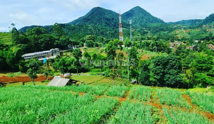 Tanah Strategis Harga Di Bawah Harga Pasar 8