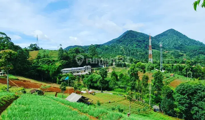 Jual Cepat Strategis Harga Ekonomis Pangalengan