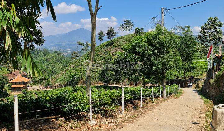 Tanah View Sangat Indah Harga Murah 2