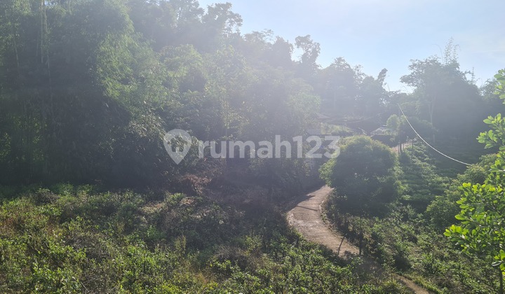 Tanah Buat Villa View Indah Harga Murah Ciwidey