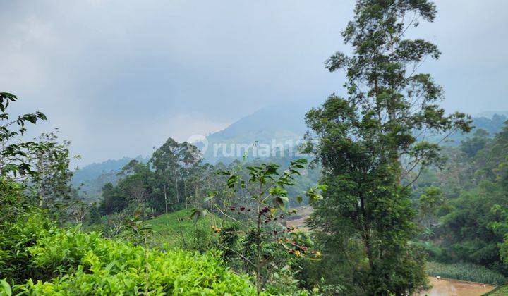 Tanah View Indah Sangat Murah 2