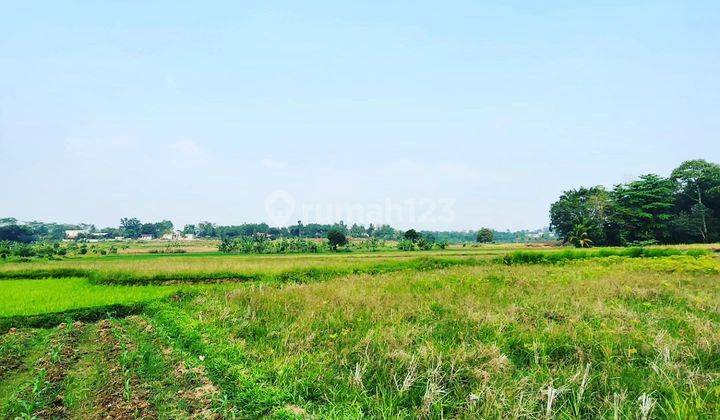 Jual Kavling Villa dan Kebun 1