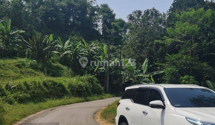 Jual Tanah Murah Buat Investasi atau Kebun Durian 1