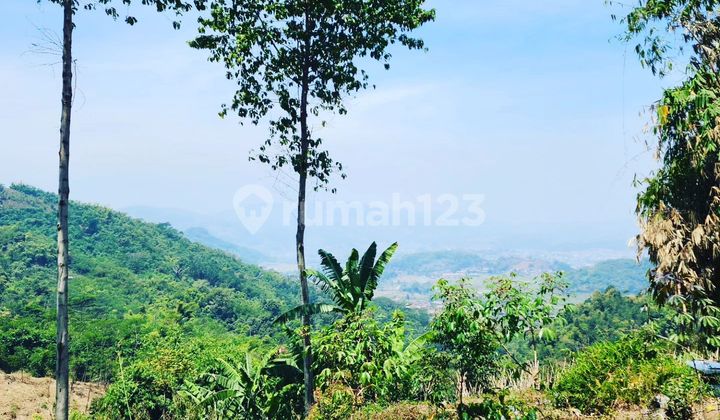 Tanah Murah Kawasan Wisata di Ciwidey 2