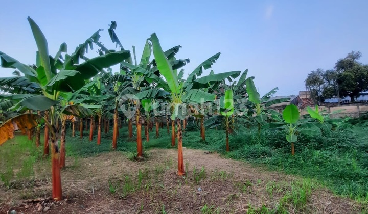Tanah Datar Murah Strategis Jl.wr.supratman Ciputat Tangsel. Tanah Datar Murah Strategis Jl.wr.supratman Ciputat Tangsel.