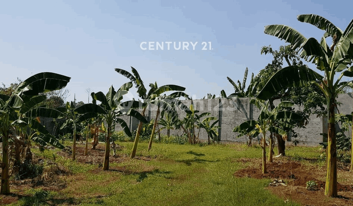 Kavling Luas Cocok untuk Mini Cluster di Bintaro Jaya Sektor 5 Kavling Luas Cocok untuk Mini Cluster di Bintaro Jaya Sektor 5