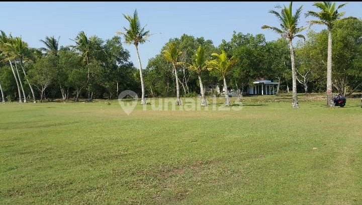 Tanah Premium Bagus Murah Strategis BanteN 3