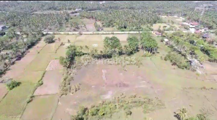 Tanah Premium Bagus Murah Strategis BanteN 4