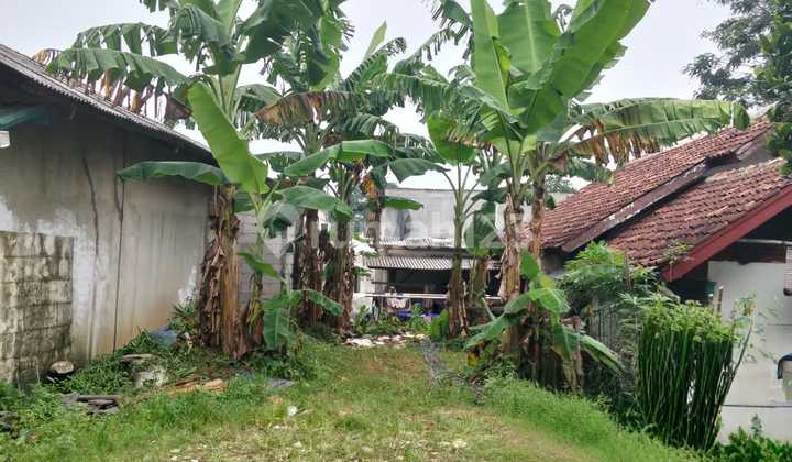 Tanah Darat Kebun Bagus Murah Strategis Bintaro