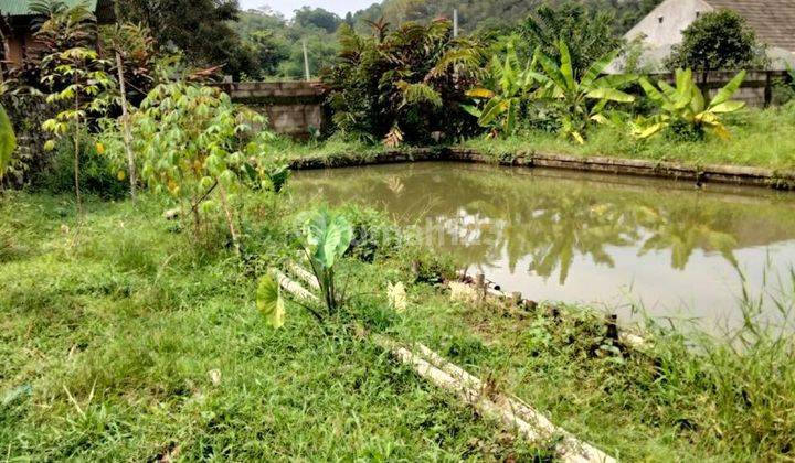 Jual Tanah 2.036m2 di daerah Cilendek Barat Bogor Jawa Barat DI 2