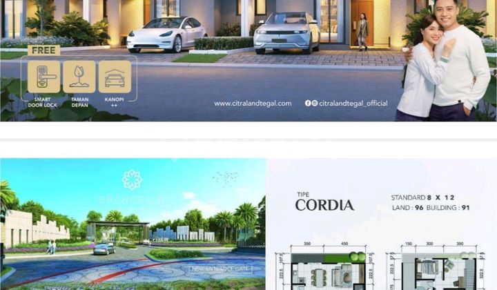 Rmh di Citrland Tegak Type Cordia 1