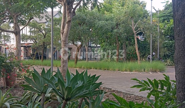 Rumah Cluster Paling Asri 10 Menit Saja ke MRT Lebakbulus