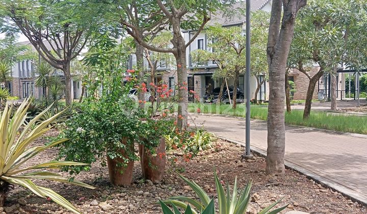 Natural Healthy House Attached in Lebakbulus Only 2 Billion Price