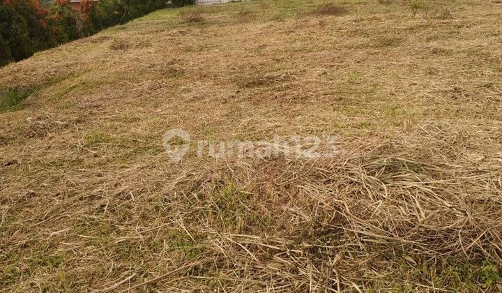 Tanah Dicijeruk Tanah Dicijeruk