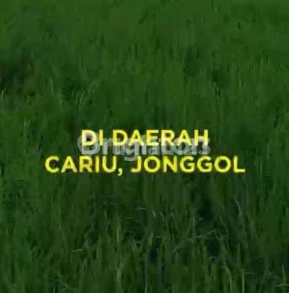 Tanah Luas dan Strategis