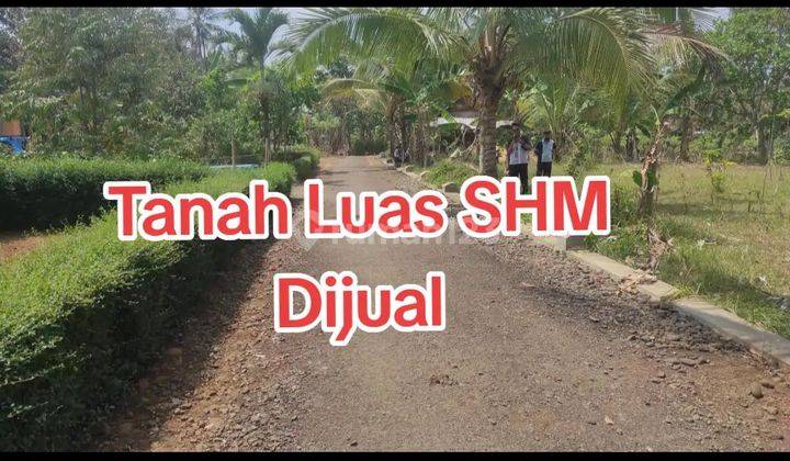 Tanah luas SHM Dijual  1