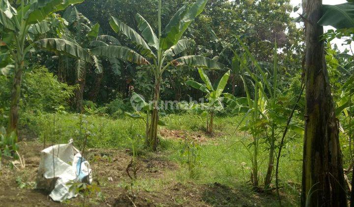Dijual Tanah Lokasi Sumput Sidoarjo 4