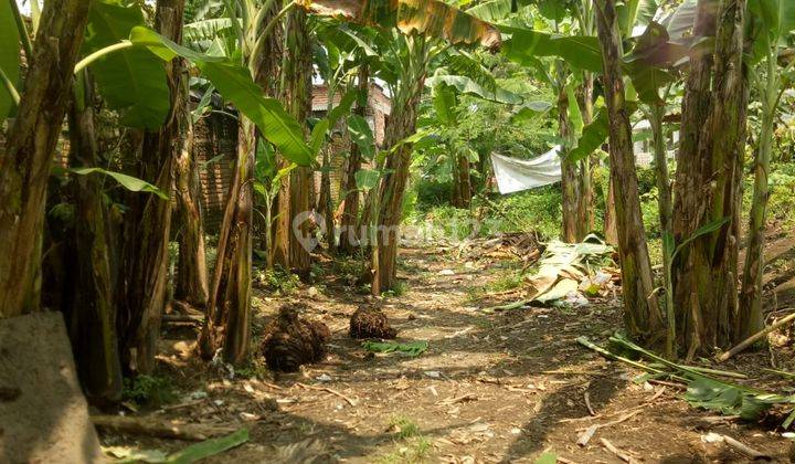 Dijual Tanah Lokasi Sumput Sidoarjo 1