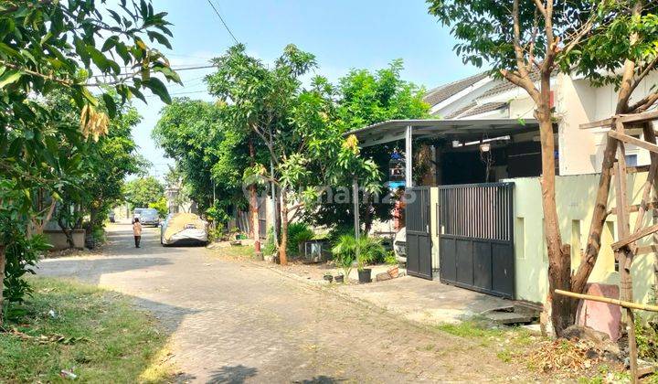 Jual Rumah Siap Huni Perum Patra Raya Cerme Gresik 2