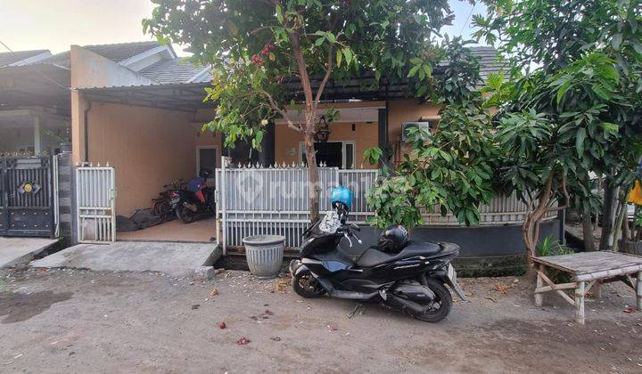 Rumah Siap Huni Lokasi Wage Aloha, Jl Jeruk Taman Sidoarjo 1