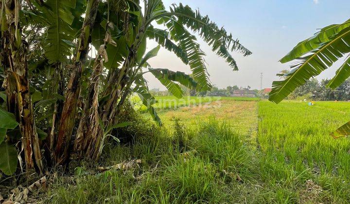 Tanah Perkarangan Murah Desa Sumokembangsri Kec. Balongbendo Krian Sidoarjo 1