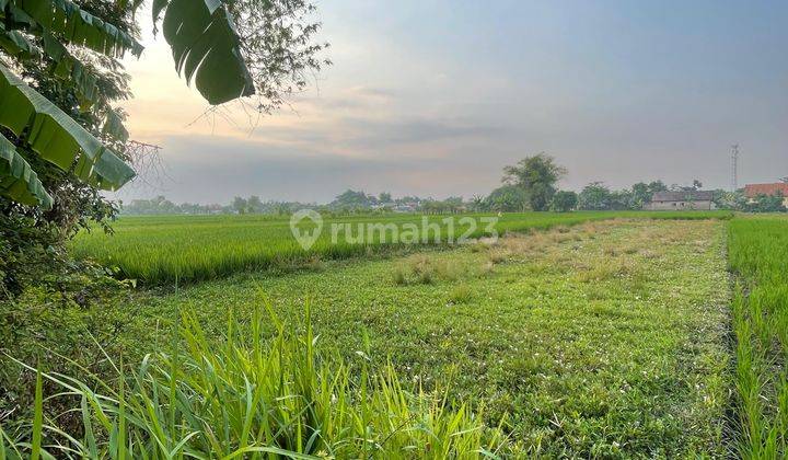 Tanah Perkarangan Murah Desa Sumokembangsri Kec. Balongbendo Krian Sidoarjo 2