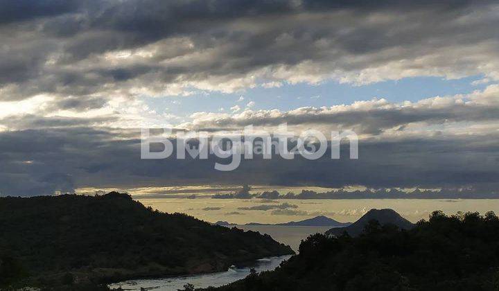 TANAH EKSKLUSIF WARLOKA, LABUANBAJO, LUAS 8 HEKTAR 2