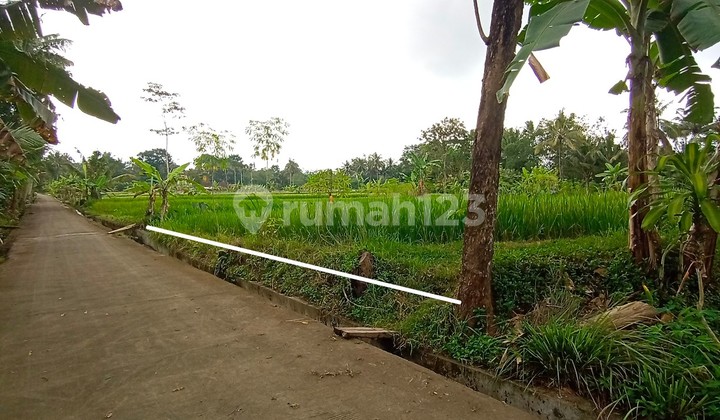 Land for Sale Pakem View of Mount Merapi Land for Sale Pakem View of Mount Merapi