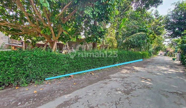 Tanah Bagus Strategis diMinomartani Timur Jalan Kaliurang Yogyakarta 
