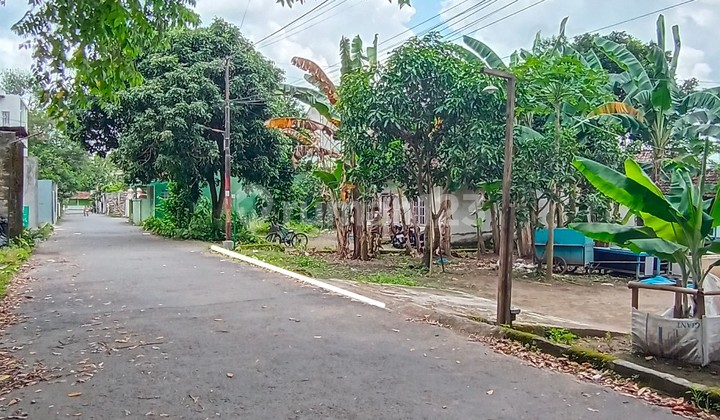 Jual Tanah Area Jalan Tajem Dkt Budimulia Wedomartani Sleman