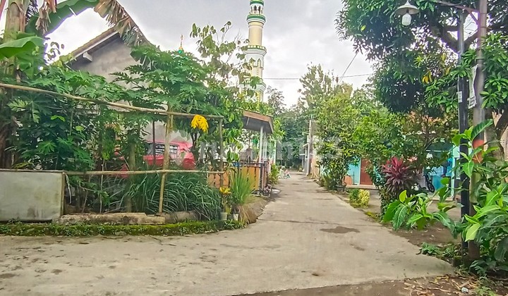 Tanah Dijual Utara Sd Model & Stadion Maguwoharjo