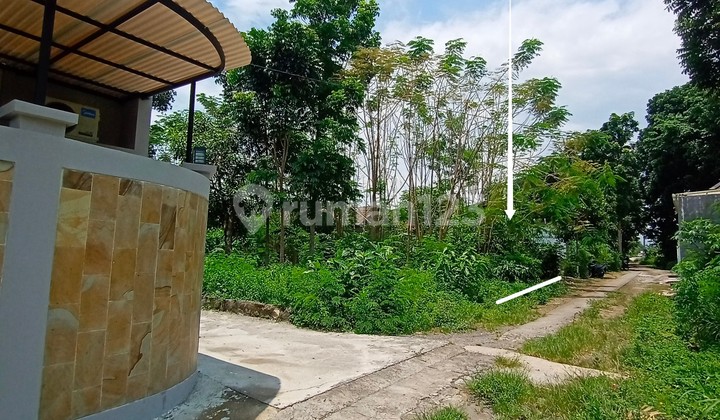 Jual Tanah Tirtomartani Kalasan Harga Murah Jual Tanah Tirtomartani Kalasan Harga Murah