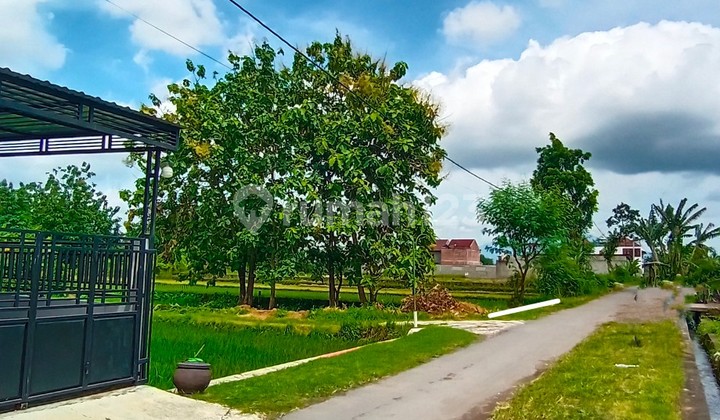 Selling Beautiful Land in Berbah with Rice Field and Mountain Views